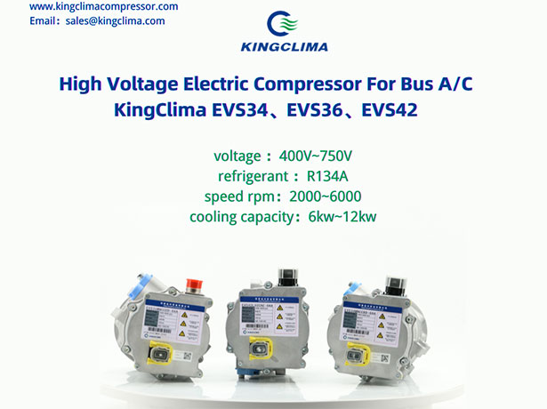 Electric AC Compressor Exported to Austria